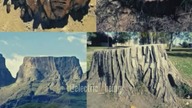 Starożytne Gigantyczne Drzewa / Ancient Giant Trees #flatearth #ancient #gigant #historia #2024