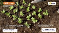 Canal+ Kuchnia Fragment telezakup&oacute;w Mango, ident i animacja logotypu 15. 04. 2021