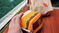 Burger Challenge -- Which burger will the maggots eat faster: MacDonalds VS Burger King?