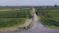 Lillian (2019) Lektor FHD