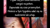 Baran Lew Strzelec #tarot #ezoteryka #horoskop