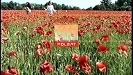 Polsat - Reklamy + zapowiedzi (05. 10. 2006)