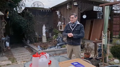 Przepiórki i kurczaki w wychowalniku * Garden kuRaż * 12.  02.  2025