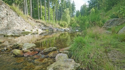 10H Forest River Flow for Deep Focus & Work &bull; Continuous Water Sound