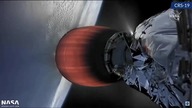 NASA Space Rodent @tiktok. shotty #dogs ? #fake #wtf