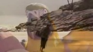 Ara urwis(The Real Macaw)1998 Lektor PL