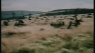 Kwaśne deszcze - kwaśny problem, film edukacyjny 1990