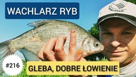 #216 WACHLARZ RYB, GLEBA, DOBRE ŁOWIENIE | FEEDER W CENTRUM