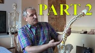 Another Types Of Health Issues and Ways to Cure Them Folkmedicine.