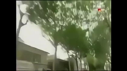 psychotropy to trucizna Skorumpowani psychiatrzy prześladujących ludzi a zwłaszcza mężczyzn ojców k