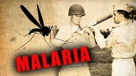 Malaria: Choroba, która w minionym stuleciu zabiła 300 mln ludzi - AleHistoria odc. 64
