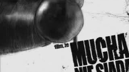 Film, że mucha nie siada 2004 r.