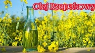 1050. Olej Rzepakowy 