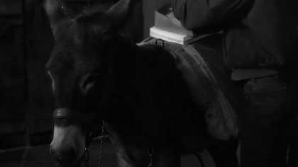 Au hasard Balthazar (1966) Napisy PL
