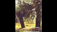 Piotr Jaroszyński - Rozmyślania o Mojej Ojczyźnie