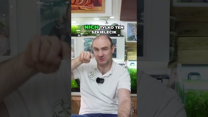 Kiedy Usunąć Liście z Akwarium Poradnik Akwarysty