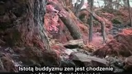 Przeszłość i przyszłość zasłaniają nam Boga.  Spal je obie żywym ogniem - Eckhart Tolle