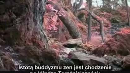 Przeszłość i przyszłość zasłaniają nam Boga.  Spal je obie żywym ogniem - Eckhart Tolle