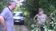 Dąb - jak stosować korę dębu.