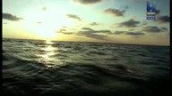 Łowcy mit&oacute;w Skarb pirat&oacute;w z Kokosowej Wyspy