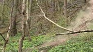 2T vs 4T vs E- XC Enduro