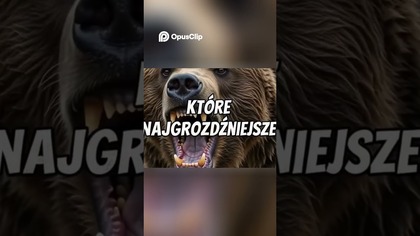 Meduza Ognista: Najbardziej Jadowite Zwierzę Oceanu.  #ciekawostki #top5 #dlaciebie #animals