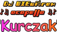 Piosenka o Kurczaku - Śmieszne Piosenki DJ Acapella Najnowsze Mega Bekowe Polskie Hity PL