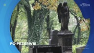 ANTENA - 31-10-2024 - Zapowiedzi, Reklamy, Plansza