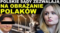 Dlaczego sądy w Polsce zezwalają na obrażanie Polaków? Szokująca sprawa Hansa G.  | N.  Nitek-Płażyń