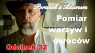 Poranek z Adamem [32] Pomidor i ogórek-pomiar azotanów.