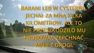 KIEROWCA ZAWODOWY CZY ABY NA PEWNO?