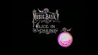 Alice In Chains - Music Bank