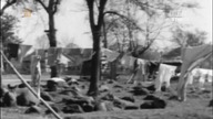 Migawki historii Vickie Henderson.  Czarna perła kabaretu