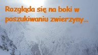 Dowcip dnia! #019# #dowcipdnia #dowcip #kawały