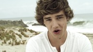 One Direction - What Makes You Beautiful (Official Video) HD