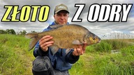 583 - ODRA SIĘ ODPALIŁA - KLASYCZNY FEEDER Z WAŁKAMI