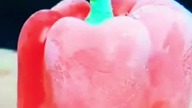 Liquid nitrogen VS Red Bell Pepper #mrgear #liquidnitrogen