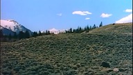 Dolina Zemsty(Vengeance Valley)1951 lektor pl