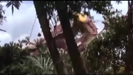 Syn Godzilli - Kaij?t&ocirc; no kessen Gojira no musuko (Dramat, Sci-Fi, 1967) [Napisy PL]
