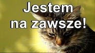 Jestem na zawsze !