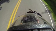 Jazda na motorze - dlaczego warto się dobrze ubrać