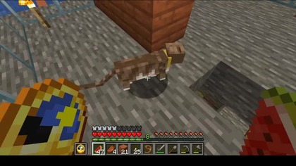 You could say the cat was spinning #minecraft #Short #Shorts #Meme #Cats #Kitty #funkytown #Music