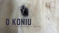 O koniu, ktorego nie było