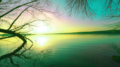 Sunset Birdsong by the Lake Evening Nature Sounds for Relaxation & Calm | 4K