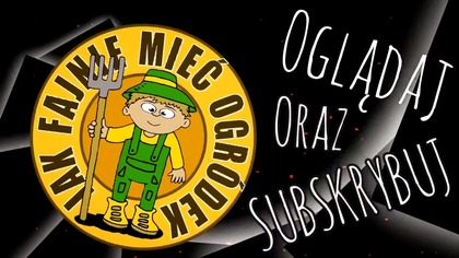 #337 Zakładam kompostownik na działce budowlanej - zobacz co do niego wrzucam...