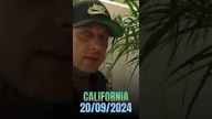 #shorts California już jutro  #dudekp56