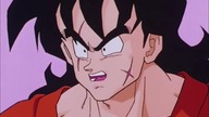 DragonBall Z Abridged: odcinek 29 - TeamFourStar (TFS) Lektor Pl