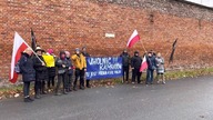 uwolnić Kamratów