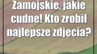 Zamojskie, jakie cudne! Kto zrobił najlepsze zdjęcia?