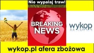 wykop.pl afera zbożowa - Łamiące Wieści